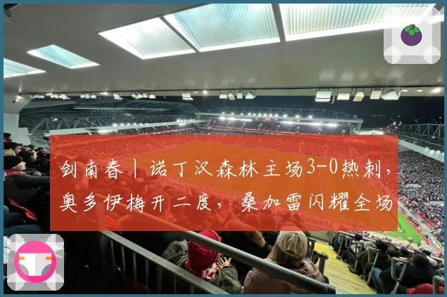 剑南春丨诺丁汉森林主场3-0热刺，奥多伊梅开二度，桑加雷闪耀全场